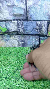 Menyan Hitam Wangi Lidi Isi 10 /Ikat