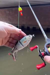 เหยื่อปลอม Hurricane ที่ทุกคน เชื่อใจ!