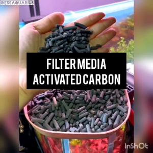 YEE Aquarium Activated Carbon Filter Media remove bad odor yellowish water purify water media penapis akuarium Karbon aktif buang bau busuk air kuning bersih air  水族活性碳 500g FOC net bag