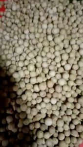 2kg 𝑫𝒖𝒌𝒖 Asli Manis. duku palembang