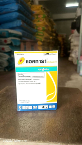 แอคทารา ยูเอ็กแซน ไทอะมีทอกแซม ป้องกันและกำจัด แมลงปากดูด เพลี้ยแป้ง เพลี้ยกระโดด เพลี้ยไฟ เพลี้ยอ่อน เพลี้ยไก่แจ้