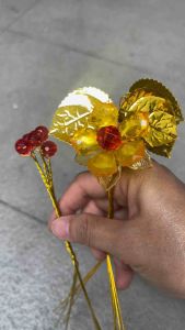 Cây kim tiền- Hoa mai may mắn cao 38cm - Thành Phẩm