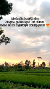 SEPATU SAFETY PENDEK / SEPATU KERJA / SEPATU PROYEK TRENDING TERLARISSS