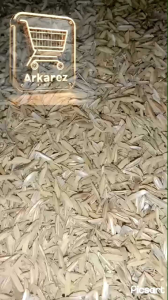 SEKAM PADI / SEKAM MENTAH GABAH KERING 500g MEDIA TANAM POT DAN LAINNYA