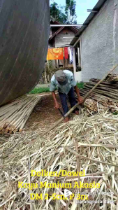 Dolken Dowel Kayu Manium Akasia & Dekorasi Rumah Taman DM 2-5 P 3 Meter