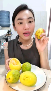 Buah Saprola Segar: Manfaat & Cara Menggunakan