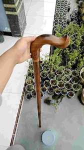 tongkat jalan kayu kelor jawa asli model payung h449