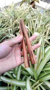 Cangklong Desain Premium Marlinu Original B33