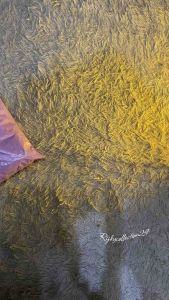 Cardigan Jiso Setrip Lengan Panjang: Pakaian Kasual & Musim Dingin