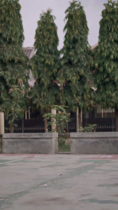 Celana Sobek Pria: Desain Terbaru & Murah