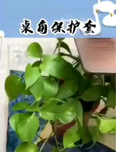 #253#爱心桌角保护套 Heart-shape Edge Protection (8pcs) PVC Anti-collision Table Corner Child Safety Edge Protetion