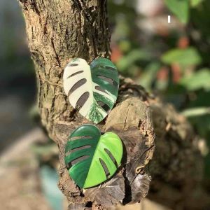 Nam châm tủ lạnh chủ đề Kiểng lá/Lá màu/Môn kiểng/Caladium/Monstera/Philodendron/Anthurium/Pink princess