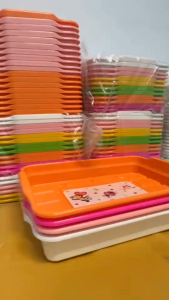 ถาดใส่ฟองน้ำเพาะเมล็ด ถาดเพาะกล้า ปลูกผักไฮโดรโปนิกส์ ถาดปลูกผักไฮโดรโปนิกส์ ถาดปลูกผัก - Lazada