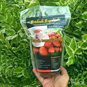 akar kayu bajakah tampala super kalimantan 500 gram-bonus 1 botol minyak urut dayak 250 ml