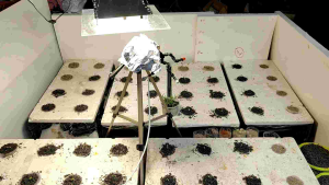 ชุดพ่นหมอกตั้งเวลารายวันและตั้งเวลาสลับการพ่นหมอกเป็นช่วงๆ ปั๊มน้ำและอุปกรณ์บรรจุในตู้กันน้ำ แยกส่วนไฟฟ้าและส่วนน้ำ ประกอบให้พร้อมใช้งาน