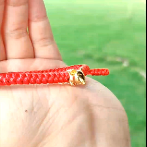 Vòng Tay Lắc Tay Chỉ Đỏ May Mắn Mix Charm 12 con Giáp Vàng - MS071