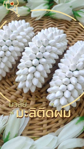 มาลัยมะลิติดผมเจ้าสาว/นางงาม/นางรำ มาลัยครอบหางม้า พร้อมห่วงลวดเกี่ยวผม