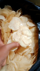 {\n \"article\": \" Emping Melinjo & Emping Tangkil Mancak Serang 1kg