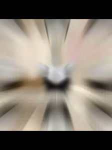 AVON ISSA Non-wire Soft Cup Bra