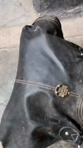 Cat Sepatu Permanen Bahan Kulit Sintesis Pewarna Jaket Tas Sepatu