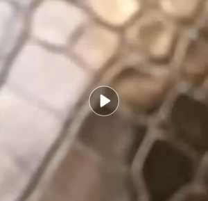 Tas Slempang Croco Dellisaa Rantaii