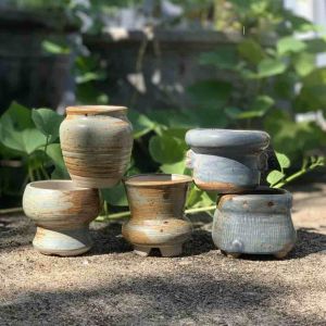 Bộ 4-5 chậu trồng cây sen đá/xương rồng nhập Trung mộc vàng