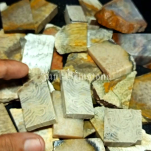 Batu Tratai Lipan: Bahan Dekorasi Unik Natural