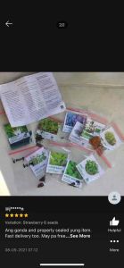 Seeds RosemaryMintTarragonBasilParsley Seeds Sulit Pack gardening
