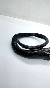 gelang akar bahar hitam bonggol jumbo C94