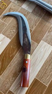 Dao rốt là dừa sữa dừa bén 2 đầu