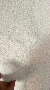 Beras Murah & Promo Rojo Lele 20 Liter