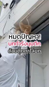 ส่งฟรี✅ ตุ๊กตาไล่นกพร้อมการ์ดอวยพร 2 ตัว