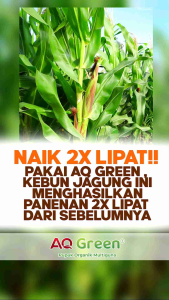 AQ Green Pupuk Organik Hayati Majemuk Pupuk Booster Bernutrisi Pembenah Tanah Pendongkrak Hasil Panen Sawit/Karet/Padi/Jagung/Sayuran/Buah (1000gr)