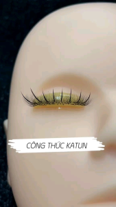 Combo Đầu Canh kèm cặp mi siêu thực loại1