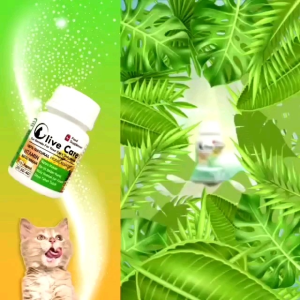 Olive Care Vitamin Kucing NAFSU MAKAN | Untuk Nafsu makan Dan Gemukin Badan