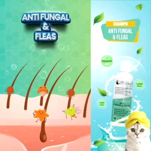 Olive Care Shampo Kucing Total Protection ANTI FUNGAL & FLEAS Untuk Jamur Alergi dan Radang Kulut