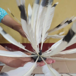 CINCIN TARI PAPUA tari enggang tari adat papua