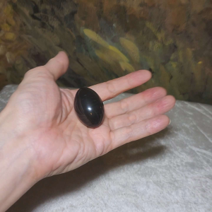 4.2cm Narmada Black Shiva Lingam handheld [Natural Crystal]