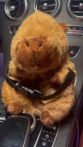 พร้อมส่ง ตุ๊กตาใส่ทิชชู่ คาปิบาร่า CAPYBARA ตุ๊กตาใส่ทิชชู่ในรถ น่ารักมากๆ กล่องทิชชู่ ตุ๊กตาเจ้าหนู ตกแต่งบ้าน อุปกรณ์เสริมในรถยนต์