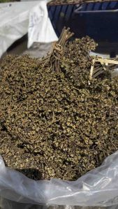 มะแขว่นตากแห้ง ไร้ก้าน มะแขว่นหอม ออแกนิค