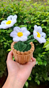 Bunga Hias Kawat Bulu Mini Pot: Panduan Lengkap