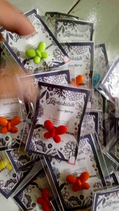 Bros kupu kupu 2cm isi 2pcs