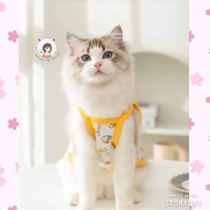 [READY STOCK] Pet Clothes Dog Cat Clothes t- shirt | Baju Kuching | 宠物衣服 猫狗衣服 无袖夏天衣