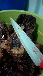 Madu sarang hutan asli 100%