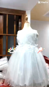 ĐẦM CÔNG CHÚA BÉ GÁI HỒNG AN VÁY PHÙ DÂU DỰ TIỆC CAO CẤP 1-12 TUỔI