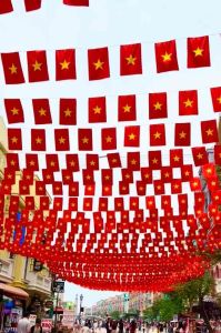 Cờ dây sao cờ dây Tổ Quốc 10met
