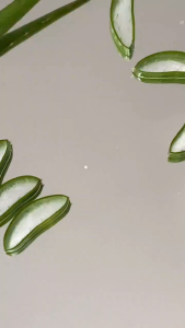 SUTRA Avera series (Aloe Vera) Body and face care Soothing & Moisturizing Aloe Vera Gel | Baby lotion