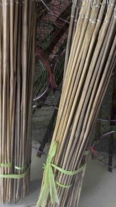 พร้อมส่ง❗ เบ็ดปักคันนา เบ็ดไม้ไผ่ ยาว 120 ซ.ม. 25-50 คัน คันเบ็ดไม้ไผ่ เหลากลมอย่างดีไม่มีเสี้ยนรมควันกันมอด เบ็ดปัก พร้อมตะขอเบ็ด ตาระฆังเบอร์หนึ่ง พร้อมใช้