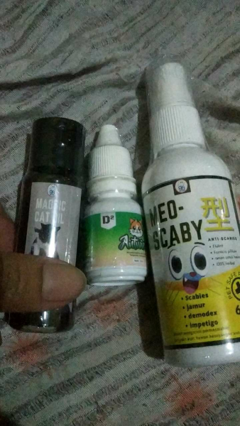 Buyer review video 2