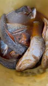 MẮM LÓC NGUYÊN CON (Túi 1kg)